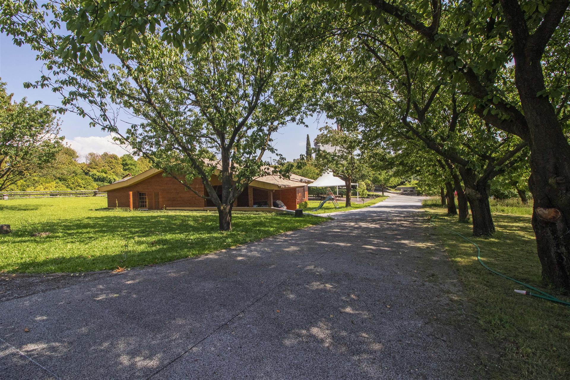 Bem-vindo à InvestMoreira